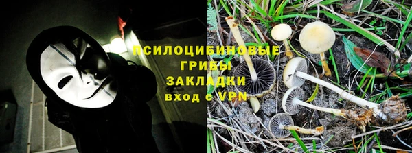 ПСИЛОЦИБИНОВЫЕ ГРИБЫ Бородино