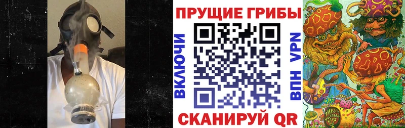 Купить  Заозёрск  Псилоцибиновые грибы Psilocybe 